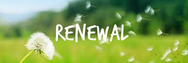 Renewal Services