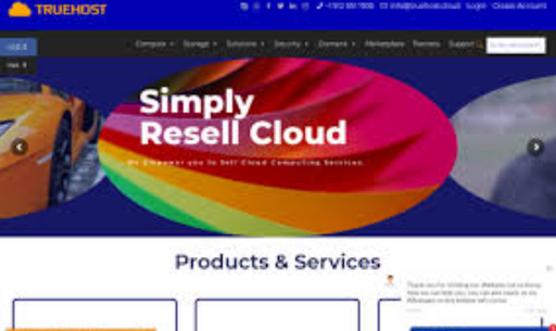 Understanding Truehost Products and Services